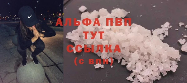 молекула духа Елизово