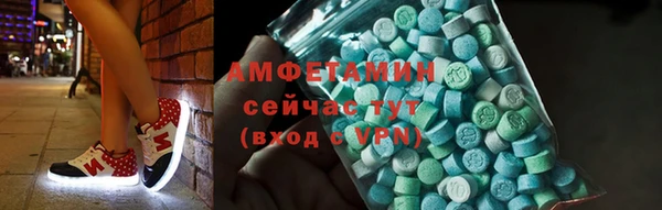 ешки Ельня