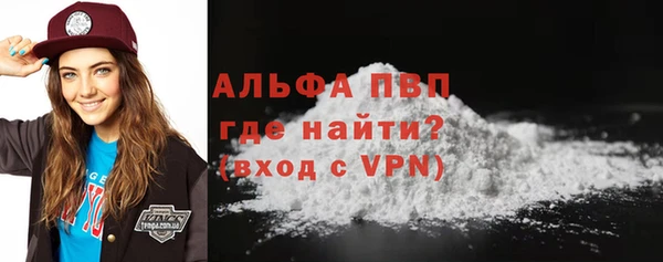 молекула духа Елизово