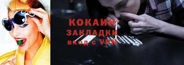 ешки Ельня
