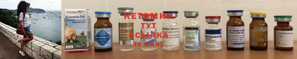 шишки Беломорск