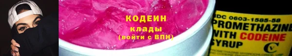 молекула духа Елизово