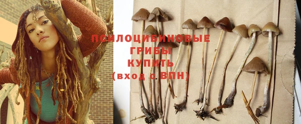 молекула духа Елизово