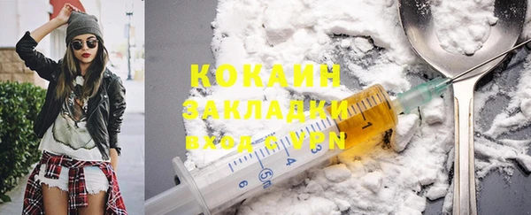 ешки Ельня