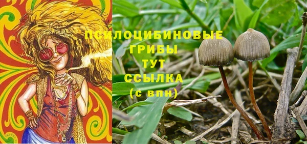 молекула духа Елизово