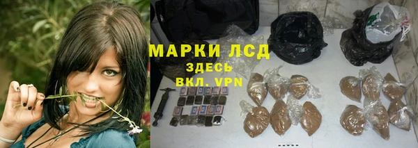 ешки Ельня